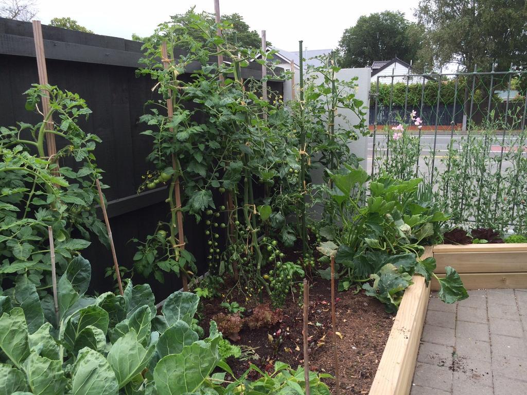 Garden Bed And Breakfast Christchurch Extérieur photo