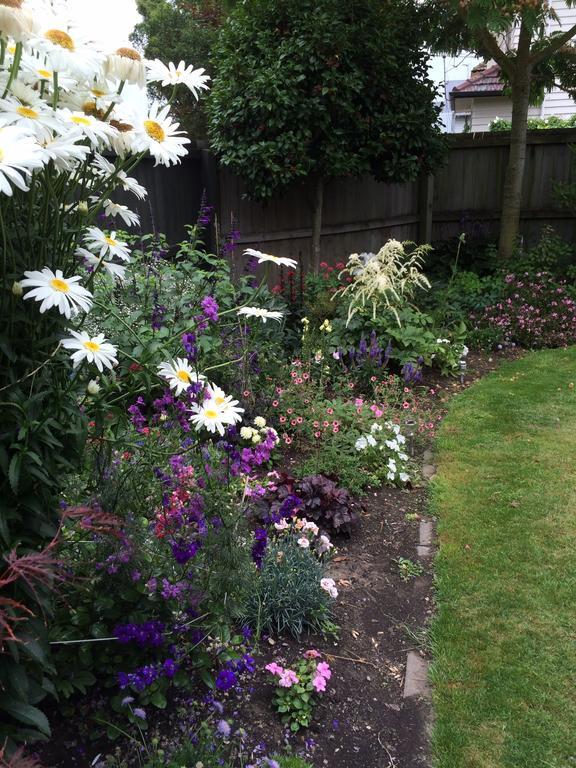 Garden Bed And Breakfast Christchurch Extérieur photo
