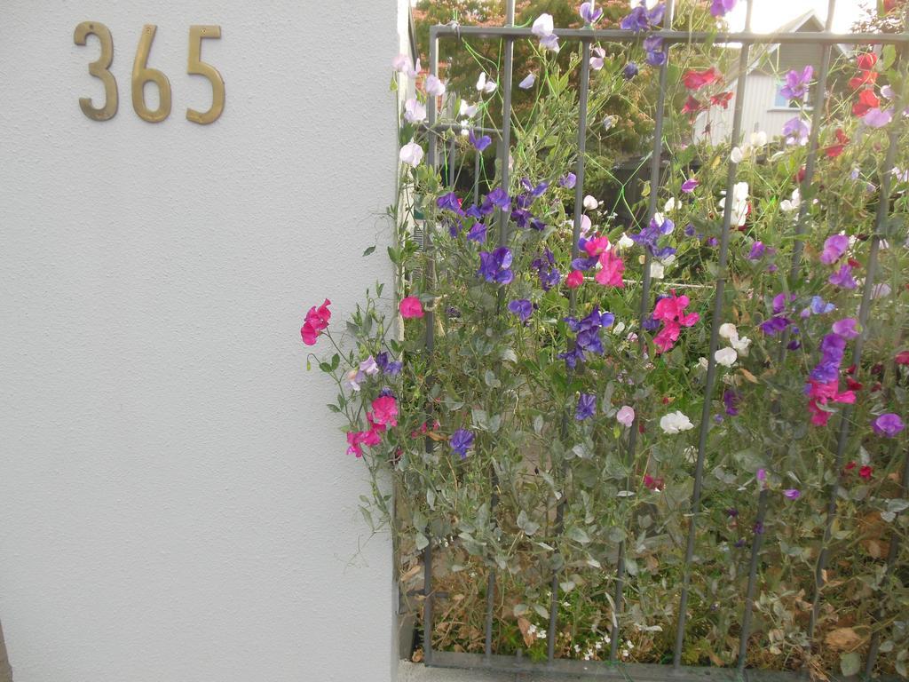 Garden Bed And Breakfast Christchurch Extérieur photo