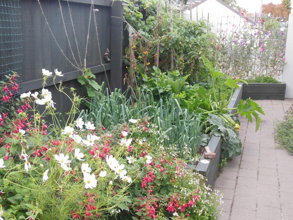 Garden Bed And Breakfast Christchurch Extérieur photo
