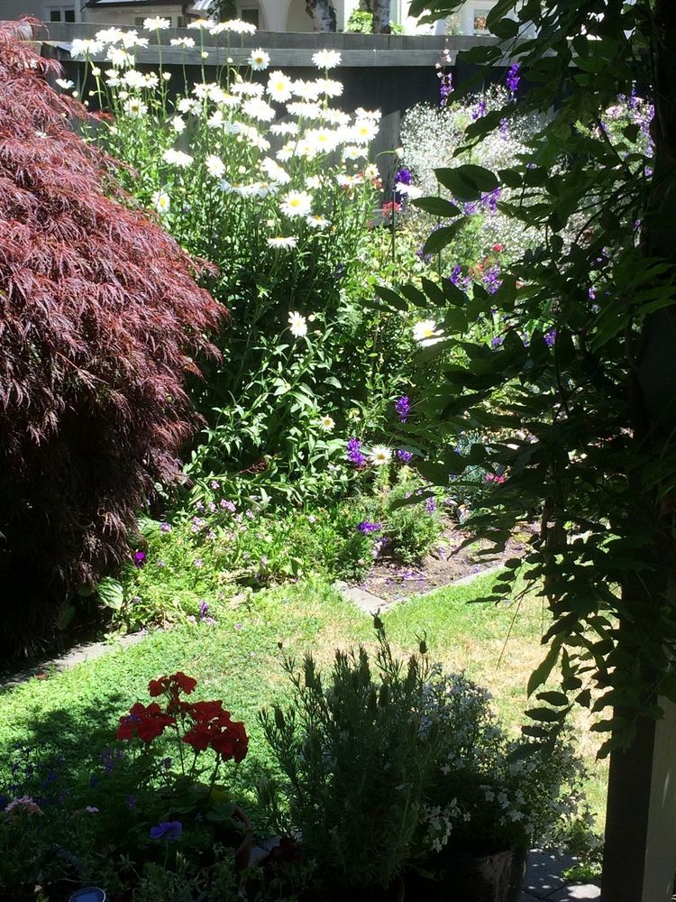 Garden Bed And Breakfast Christchurch Extérieur photo