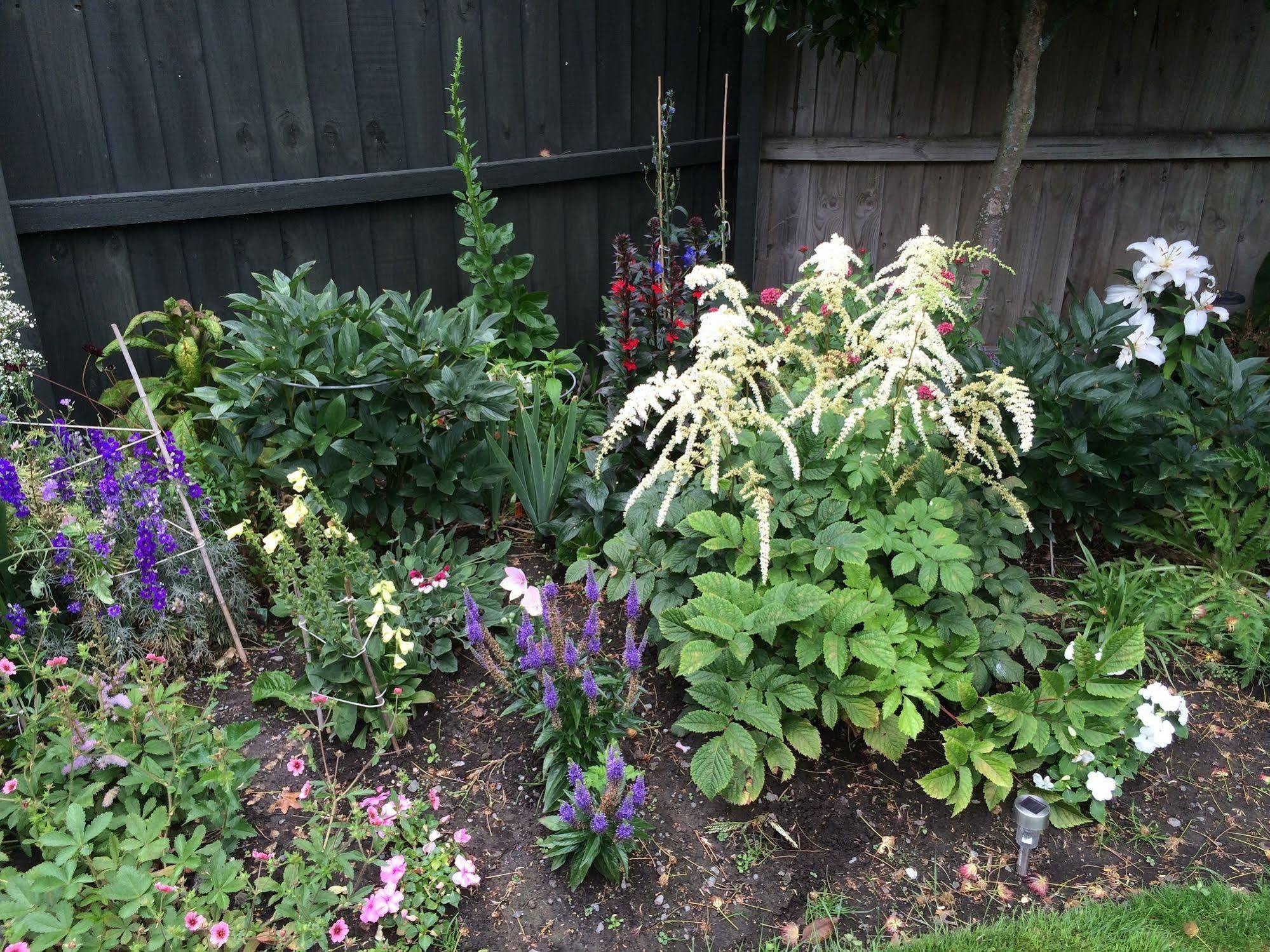 Garden Bed And Breakfast Christchurch Extérieur photo