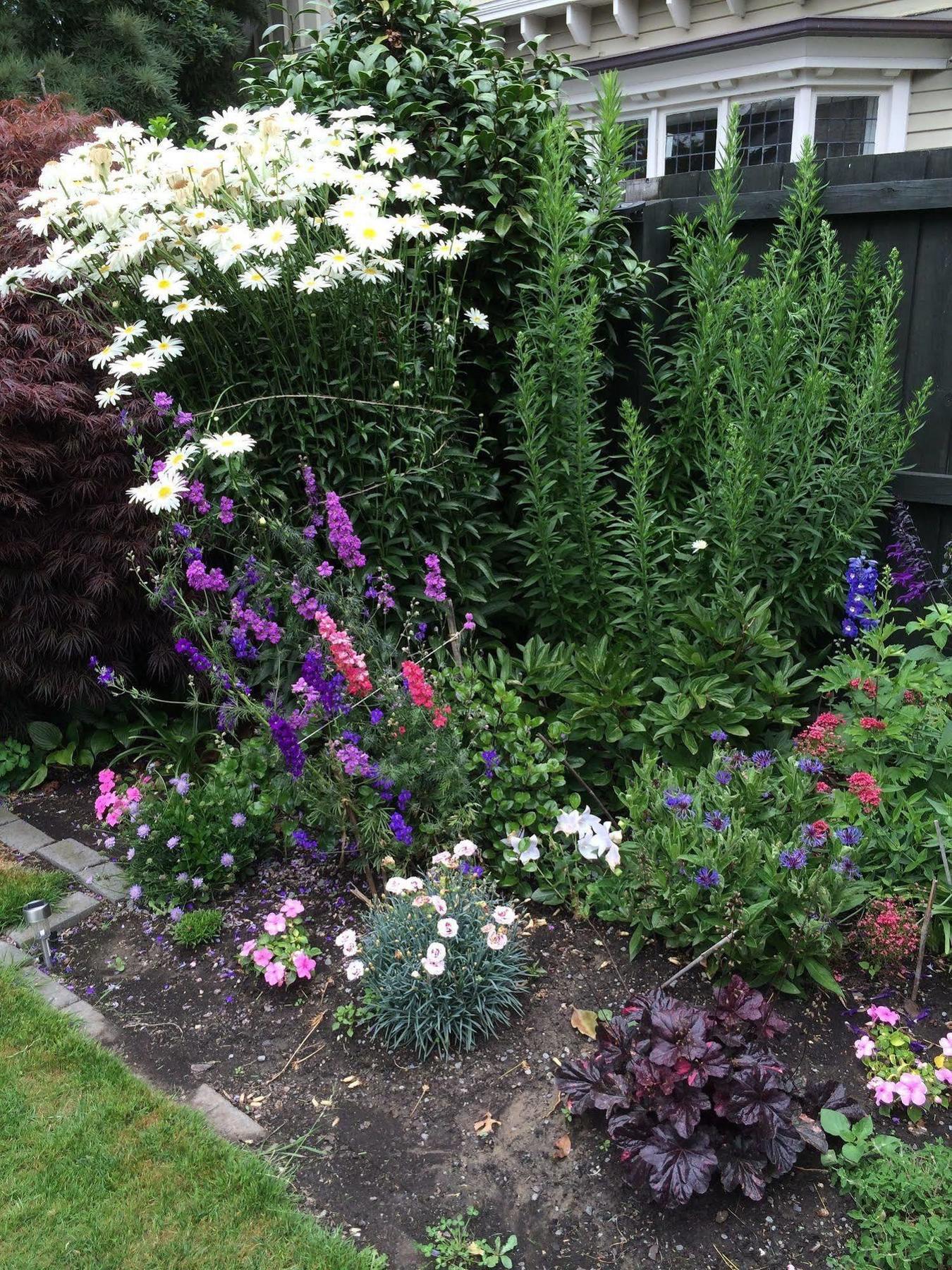 Garden Bed And Breakfast Christchurch Extérieur photo