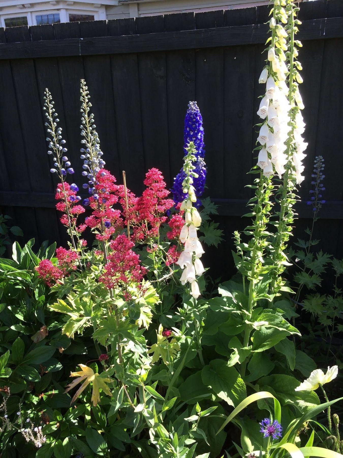 Garden Bed And Breakfast Christchurch Extérieur photo