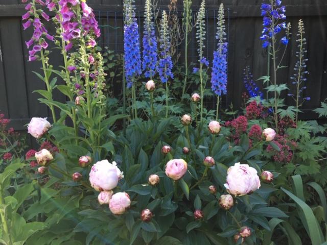 Garden Bed And Breakfast Christchurch Extérieur photo